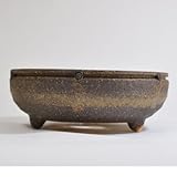 信楽焼 信楽焼き小紋(大) 盆栽鉢 6号 幅18.5cm×高さ7cm