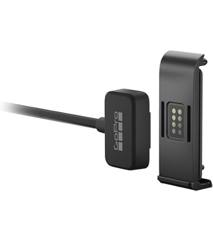 その他 GoPro charger GoPro Dual Battery Charger + Enduro, Black (ADDBD-211) : Amazon.sg