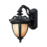 Z-Lite 2141S-BK Winchester Outdoor Wall Light, Metal Frame, Black Finish and Amber Mottle Shade of G