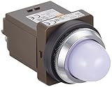 IDEC φ30 シリーズ パイロットライト 白熱球照光 丸形 AC/DC100V APN118W