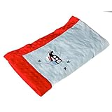 Airplane and Stars Blue Embroidered Minky Dot Blanket by Blossoms & Buds