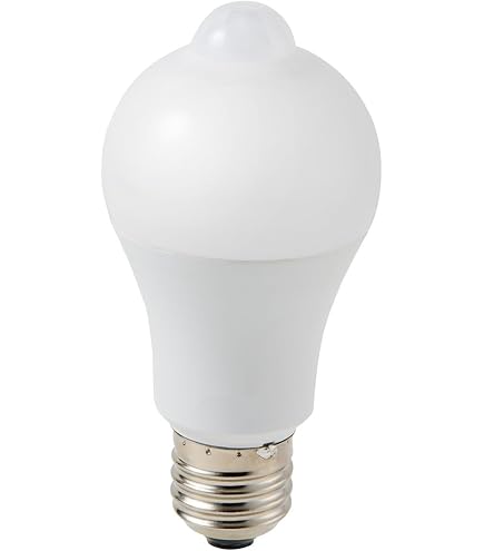 ELPA LED電球 ボール球形 60W形 口金直径26mm G95 昼光色 LDG8D-G-G202 khxv5rg ELPA LED電球 ボール球形 60W形 口金直径26mm G95 昼光色 LDG8D-G-G202