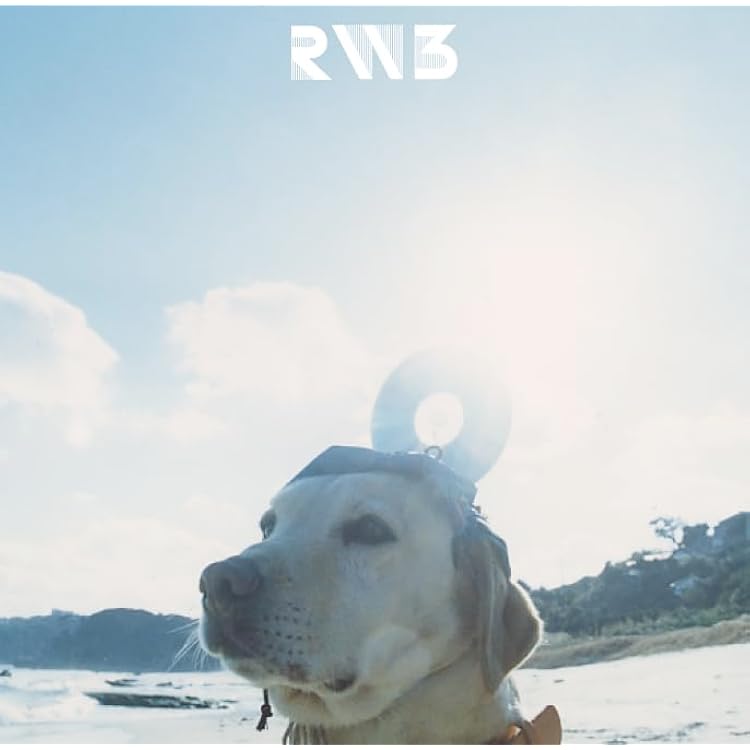 RADWIMPS「RADWIMPS 4 〜おかずのごはん〜」 LP2枚組 限定盤 Amazon.co.jp: