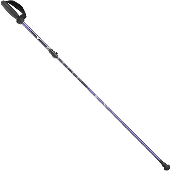 Amazon | DFP ポータブルセクター2 2本1組 WH1181-62WS L レッド (羽立