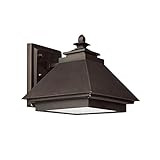 Capital Lighting 9092BB 1-Light Outdoor Wall Lantern-Dark Sky, Burnished Bronze with Rust Scavo Glas