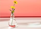 Fenteer ホーム　インテリア　バルブ型　ガラス製　テーブルボトル　花瓶　（クリア）