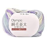 元廣 毛糸 オリンピック 純毛 並太 プリント マルチカラー 1 10玉パック