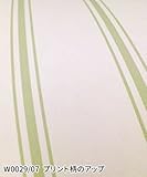 輸入壁紙 品番:W0029/07 CLARKE&CLARKE(イギリス) サイズ:68.5cm×10m カラー:グリーン