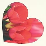 TAKAMI BRIDAL presents LOVE POP �`KISS OF LIFE�`