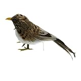 Baosity 鳥の装飾　現実的　全25種　人工フェザー　手作り　インテリア　屋外　庭の置物　 - 1