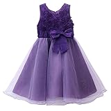 Pettigirl子供ドレス キッズフラワードレス 女の子 パーティー 結婚式 演奏会10 [並行輸入品]