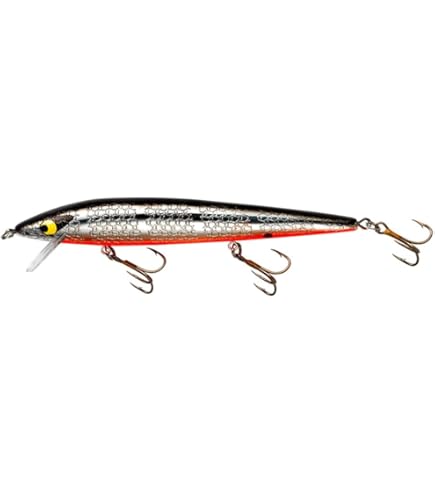 Amazon | スミス(SMITH LTD) ヒロイズム カリプソ HIM-C52ML-LJ2