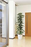 造花アート・観葉植物　ジャイアントポトス1.8＜ 退職祝い 引退祝い 栄転祝いに ＞