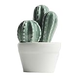 SAVORLIVING サボテン装飾　北欧風　雑貨　鉢植え　セラミックス　ディスプレイ　可愛い　インテリアグリーン　オーナメント　ミニ偽植物　室内用　デコレーション 　卓上置物 フェイクCactus 
