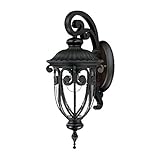 Acclaim 2102BK Naples Collection 1-Light Wall Mount Outdoor Light Fixture, Matte Black [並行輸入品]