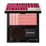 ESPRIQUE(エスプリーク) ピュアリーベール チーク 限定キット RD-5 レッド系 セット 3.3g+ケース付