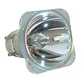 EachLight プロジェクター PJ 交換用ランプ タイプ27 513744 リコー RICOH PJ WX2440 PJ X2440 PJ S2440 交換用【高耐久性·使いやすい】
