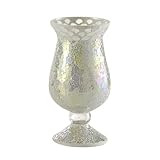 PASEO(パセオ) ガラスフラワーベース EM-20WH