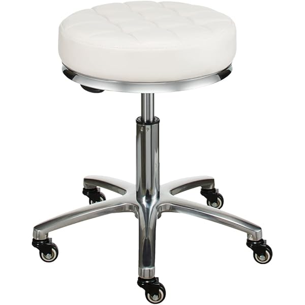 Amazon.co.jp: エステスツール 丸椅子 キャスター付き 回転椅子 昇降式