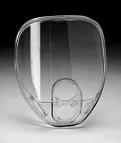 3M Lens Replacement FF-400-03, Respiratory Protection Replacement Part by 3M