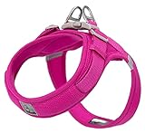cocomall 喉に優しい犬ハーネス 2023最新 TRUE LOVE日本授権店 犬用ハーネス 犬用胴輪 ドッグ ペット用品 ハーネスリード 3M反射材料 訓練 ナイロン製 超型犬、小型犬、中型犬に向け 通気性 調節可能 夏に対応 (XS, ピンク)