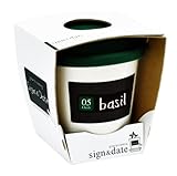 サイン＆デイト　バジル