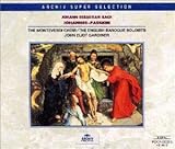 ���n�l����