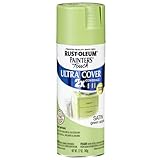 Rust-Oleum 249077 Painter's Touch Multi Purpose Spray Paint 12-Ounce Satin Green Apple [並行輸入品]