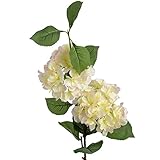 (ヒル・インテリアズ) Hill Interiors アジサイの造花 アーティフィシャルフラワー イミテーションフラワー デコレーション (ワンサイズ) (クリーム/ピンク/ライトグリーン)