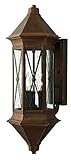 Hinkley 2295SN Outdoor Brighton Light by Hinkley