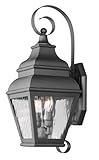Livex Lighting 2602-04 Outdoor Wall Lantern with Clear Water Glass Shades, Black [並行輸入品]