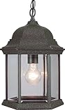 Volume Lighting V8112-24 1-Light Outdoor Pendant, Mottled Verde Green [並行輸入品]