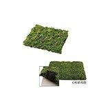 【次回3月上旬入荷予定】【人工植栽】　タカショー 人工苔 モスマット　24×18cm　GN-70