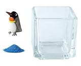 花市場直送便 ミニチュアガラス キングペンギン & カラーサンド コバルト & 植え込み用グラス ニューブロックS