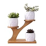 天然竹製フラワースタンドガーデニング/フラワー/園芸 ラック/棚 鉢植え スタンド 盆栽棚 植木鉢 多肉植物 サボテン鉢 花鉢 容器 ミ二植木鉢 軽量/頑丈 屋外/室内 3個陶器ミニ植木鉢付き