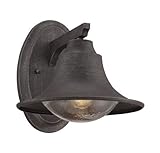 Savoy House Trent 10" Outdoor Lantern in Artisan Rust by Savoy House [並行輸入品]