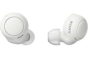 ソニー 完全ワイヤレスイヤホン WF-C500 : /軽量小型5.4g/高精度通話品質/簡単ペアリング/IPX4防滴性能/ホワイト WF-C500 WZ