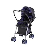 リッチェル Richell ノシェル パープル 1~36ヶ月頃対象