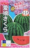 【種子】スイカ・愛娘さくら 約8粒