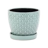 4.5インチ アクアポット 受皿付き