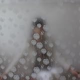 Generic 50*90Cm Dandelion Frosted Opaque Privacy Office Study Bath Bathroom Bedroom Self Adhesive De