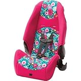LATCH equipped 2-in-1 Highback Booster Car Seat, Spring Day, 5-Point Harness with Up-Front Adjustmen