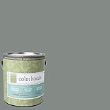 Inspired Eggshell Interior Paint, Stone .07, Gallon [並行輸入品]