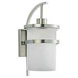 Sea Gull Lighting 88119-962 Single Light Eternity Outdoor Wall Light, Brushed Nickel [並行輸入品]
