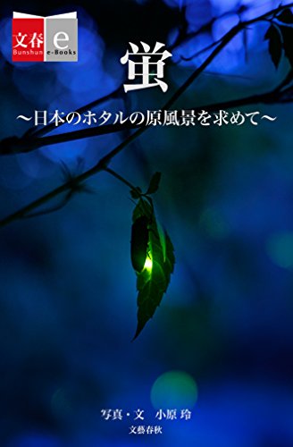 �u�@���{�̃z�^���̌����i�����߂āy���te-Books�z