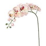 Sherry　1ピースシミュレーション蝶の蘭の人工花植物ホームデコレーション