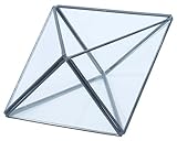 PL ディスプレイケース テラリウム ロンビック ガラス 22389