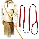 Pet Pilala 犬 リード 肩掛け ショルダーリード ハンズフリー 写真映え ２頭引き 立体メッシュ素材 軽量 丈夫 多機能 小型犬 中型犬 しつけ 訓練 ランニング ジョギング 1.0-1.8m 【愛玩動物飼養管理士が開発】 (5. レッド, 1. Sサイズ)