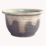 信楽焼 灰釉千段水鉢 15号 ／睡蓮鉢