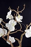 White Orchidガーランド6 ft 61357106044